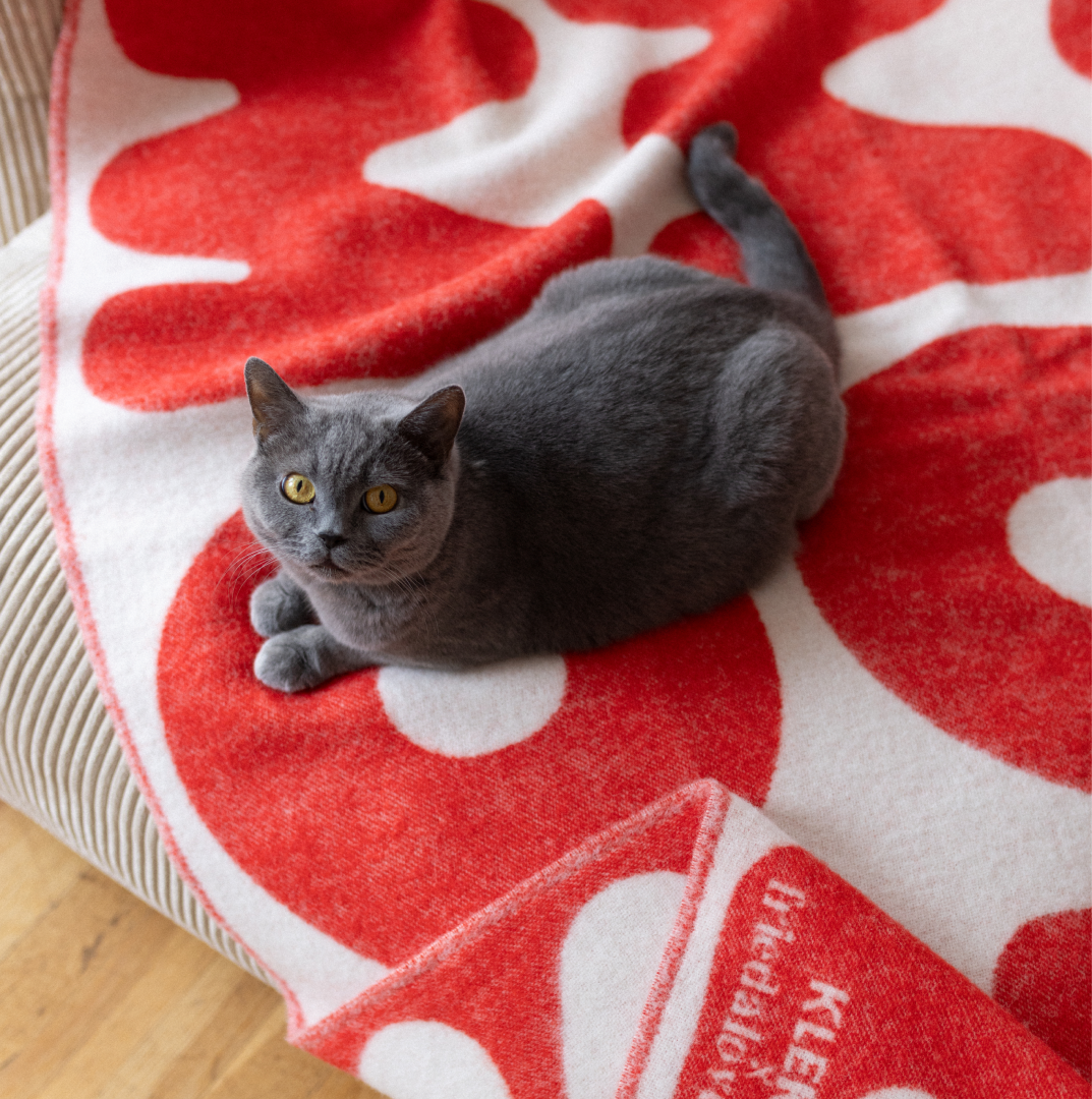 Klekks No. 11 - Wool Blanket