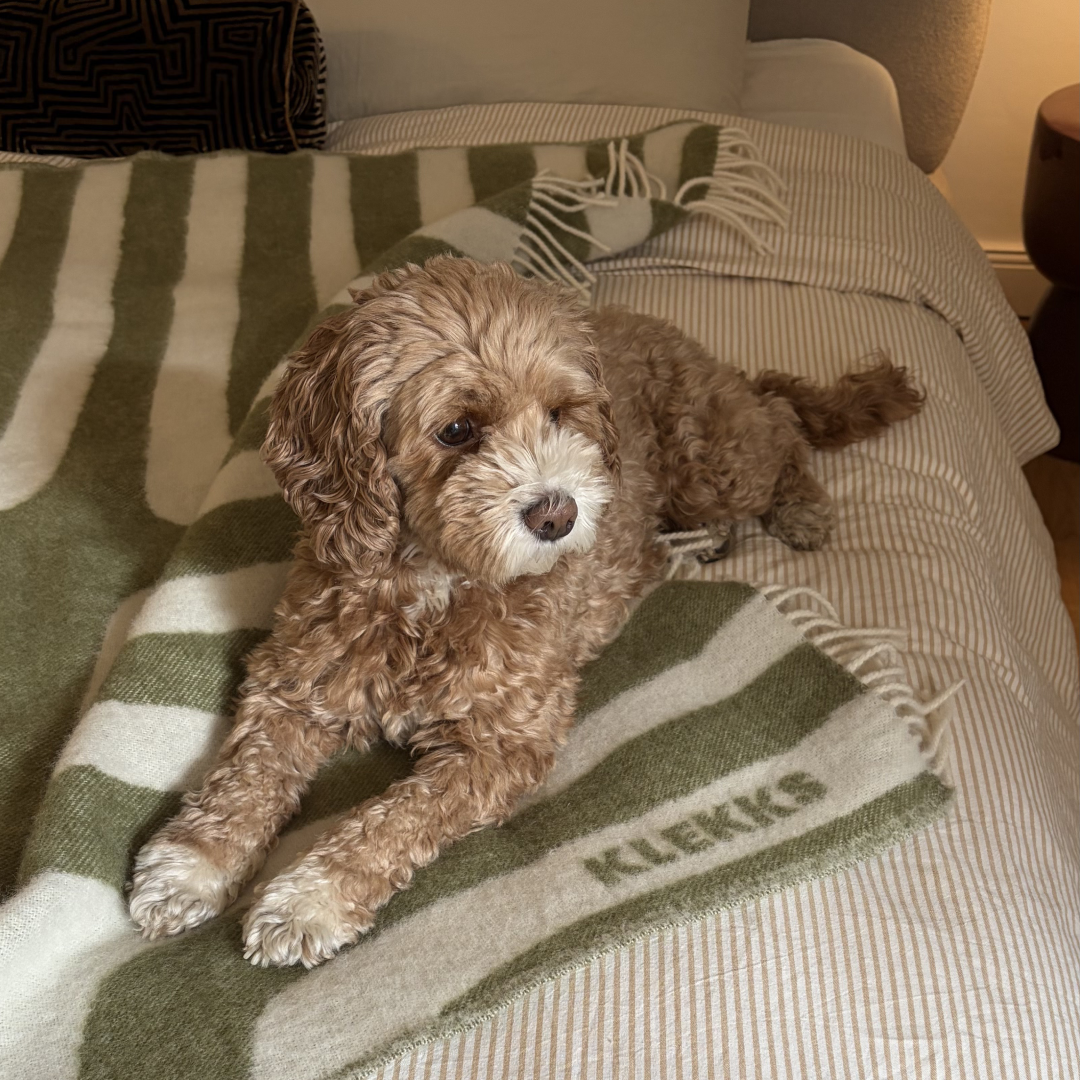 Klekks No. 34 - Wolldecke